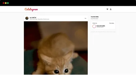 CatsTagram